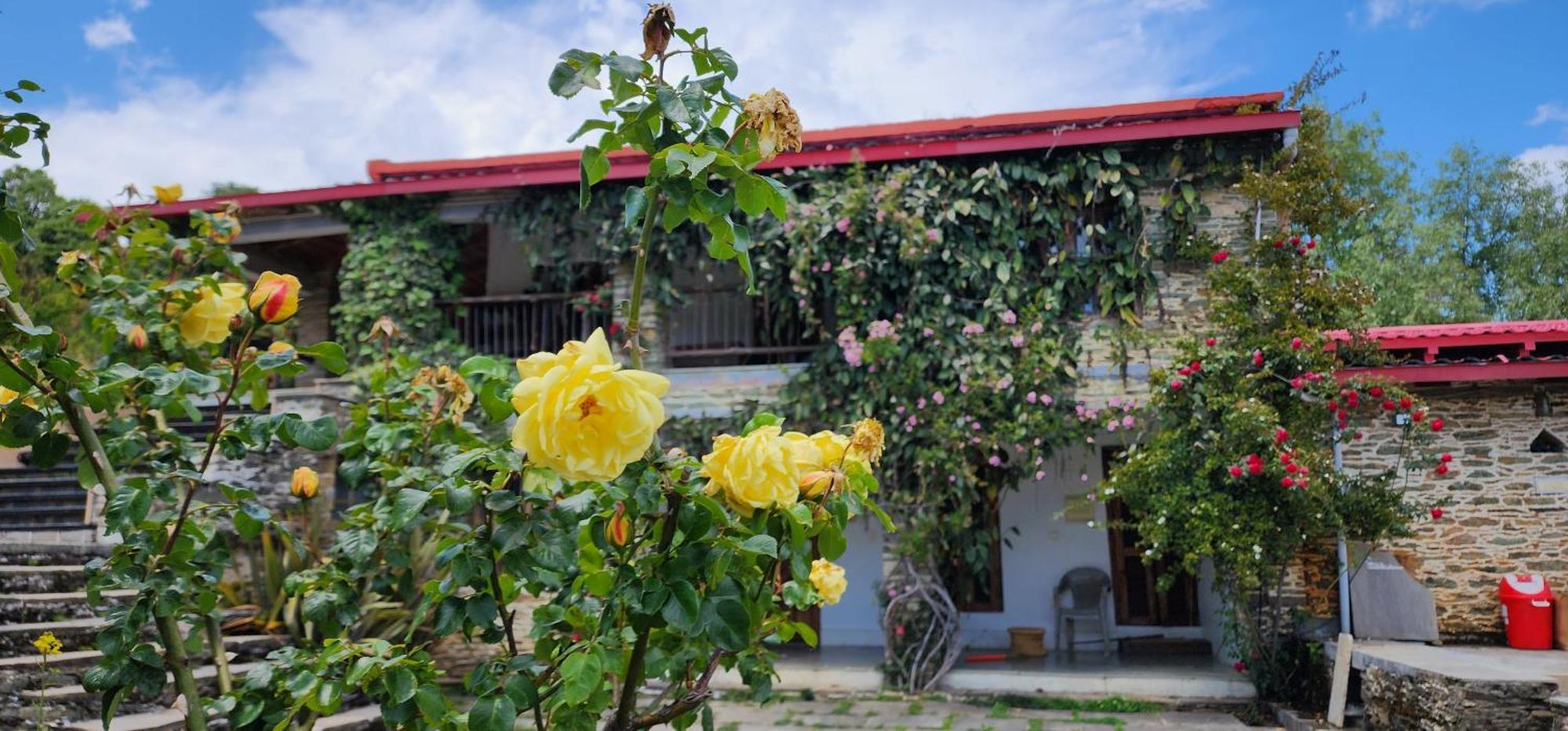 Dunagiri Retreat Dwarahat Luaran gambar